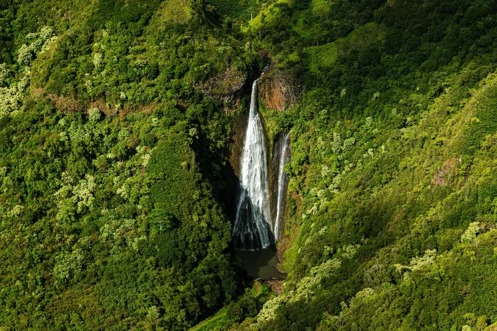 a large waterfall in a forest